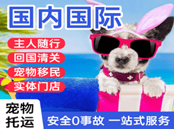 贡嘎航空快递国际宠物托运 【国